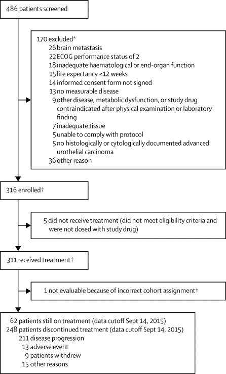 Atezolizumab in patients with locally advanced and metastatic urothelial carcinoma who have progressed following treatment with platinum-based chemotherapy: a single-arm, multicentre, phase 2 trial