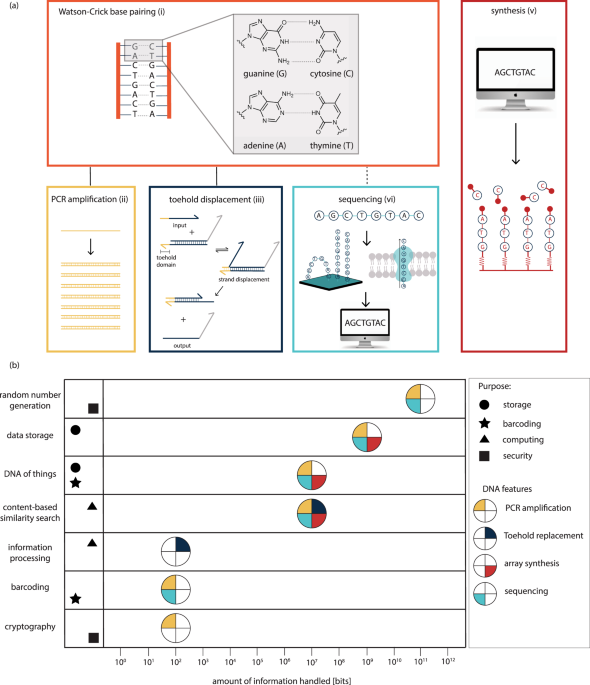 Synthetic DNA applications in information technology - Nature Communications