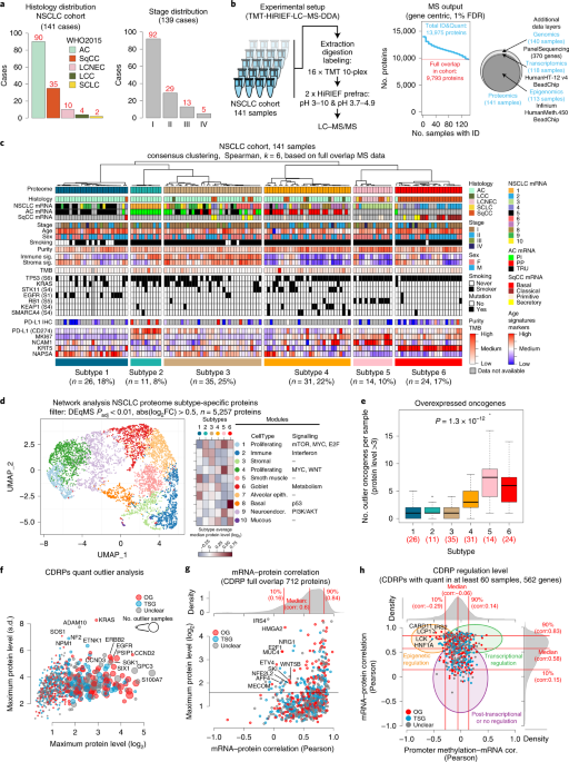 Proteogenomics of non-small cell lung cancer reveals molecular subtypes associated with specific therapeutic targets and immune-evasion mechanisms - Nature Cancer