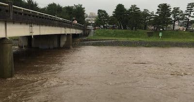 京都の鴨川にオオサンショウウオ。大雨による増水で流されてきたか（動画）