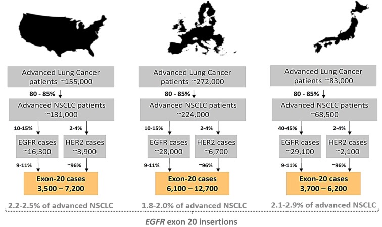 EGFR exon 20 insertions in advanced non-small cell lung cancer: A new history begins