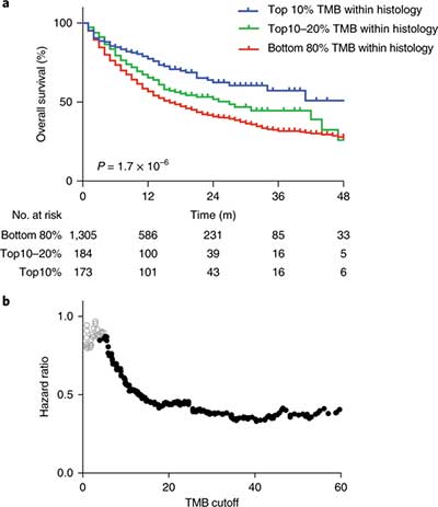 Tumor mutational load predicts survival after immunotherapy across multiple cancer types