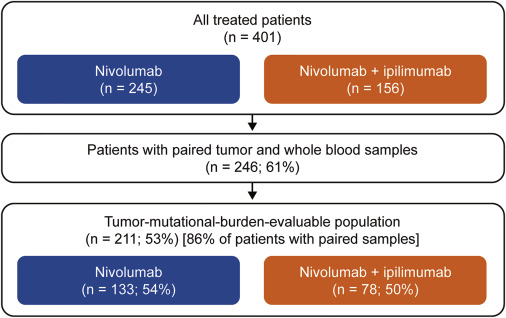 Tumor Mutational Burden and Efficacy of Nivolumab Monotherapy and in Combination with Ipilimumab in Small-Cell Lung Cancer