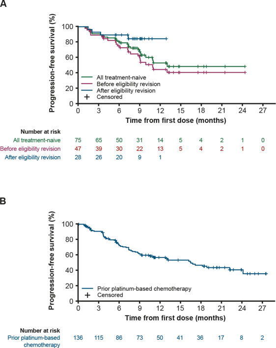 Safety and efficacy of pralsetinib in RET fusion–positive non-small cell lung cancer including as first-line therapy: update from the ARROW trial