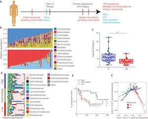 Gut microbiome modulates response to anti–PD-1 immunotherapy in melanoma patients
