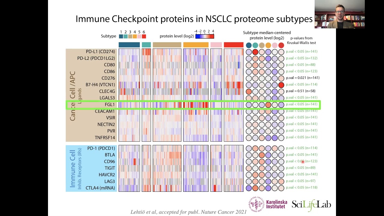 Lung Cancer Proteome Landscape: Phenotypic Subtypes and Targeted Combination Therapy by Lukas Orre