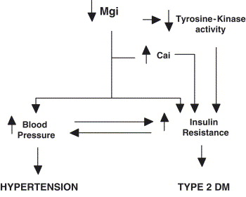 Magnesium and diabetes mellitus: Their relation