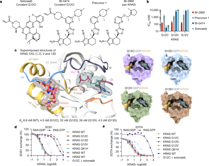 Pan-KRAS inhibitor disables oncogenic signalling and tumour growth - Nature