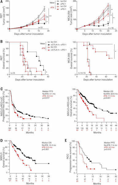 Gut microbiome influences efficacy of PD-1–based immunotherapy against epithelial tumors