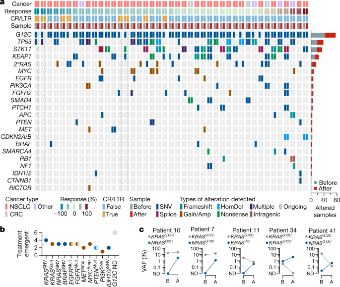 Diverse alterations associated with resistance to KRAS(G12C) inhibition - Nature