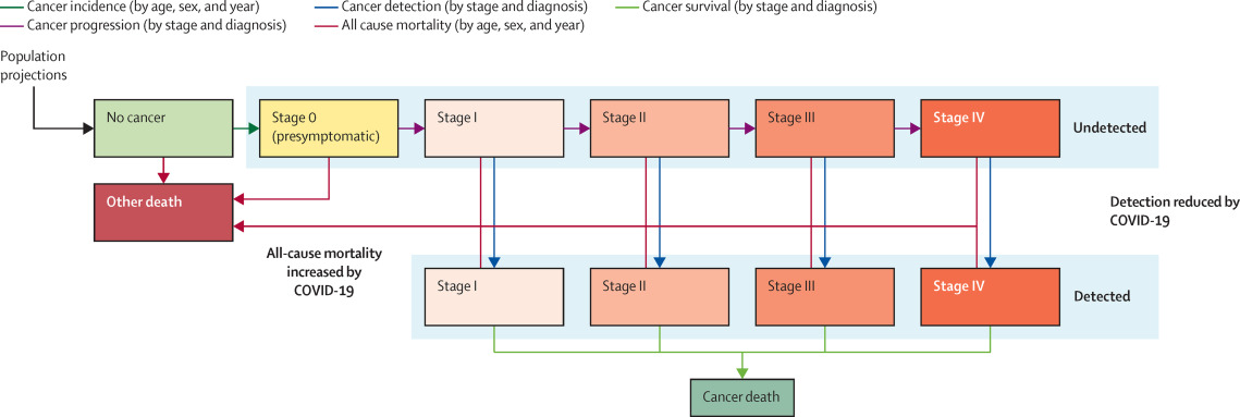 Estimating the impact of the COVID-19 pandemic on diagnosis and survival of five cancers in Chile from 2020 to 2030: a simulation-based analysis