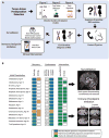 Comprehensive Analysis of Hypermutation in Human Cancer - PubMed
